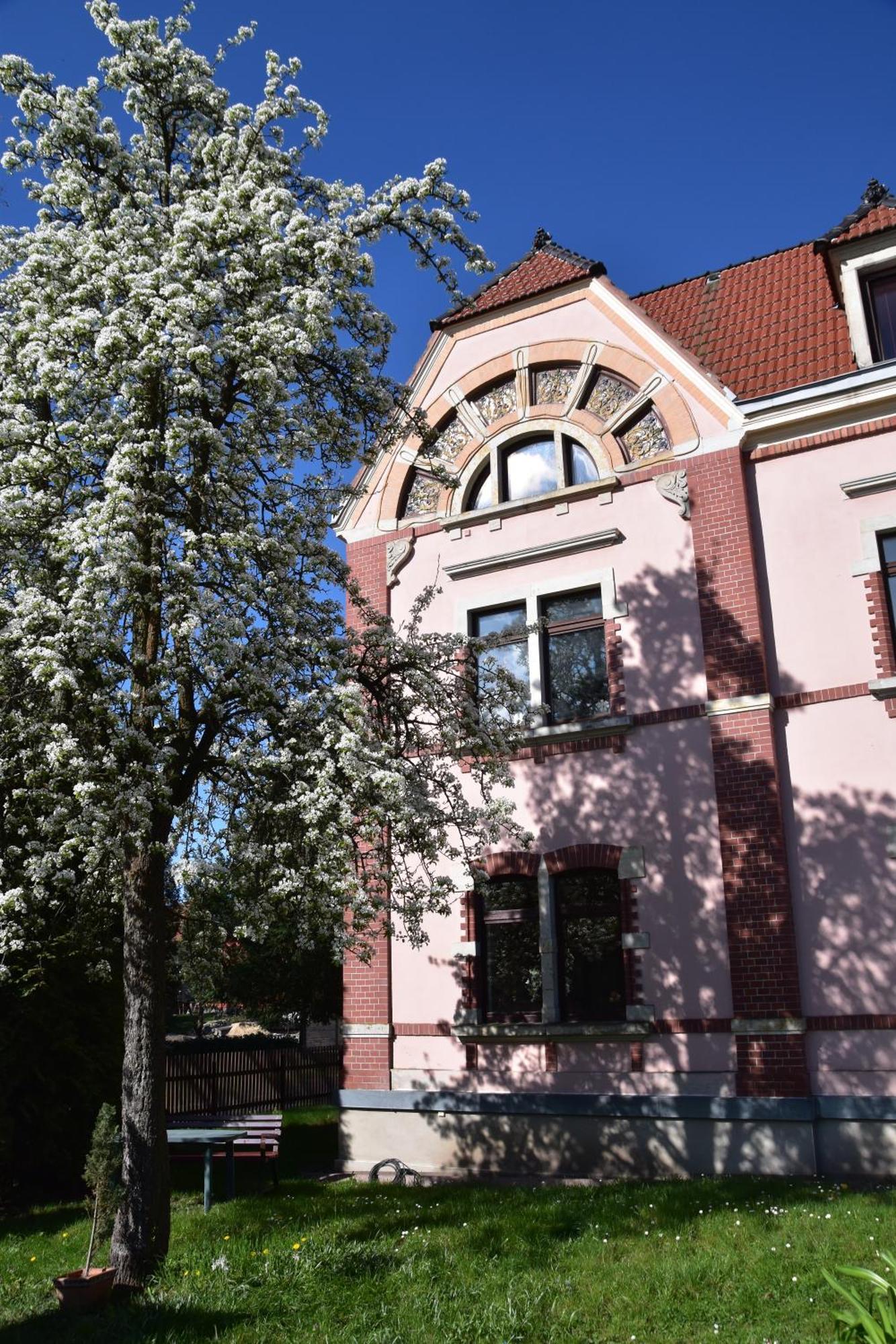 Ferienwohnung Und Pension "Zur Aue" Konigsbruck Exterior photo