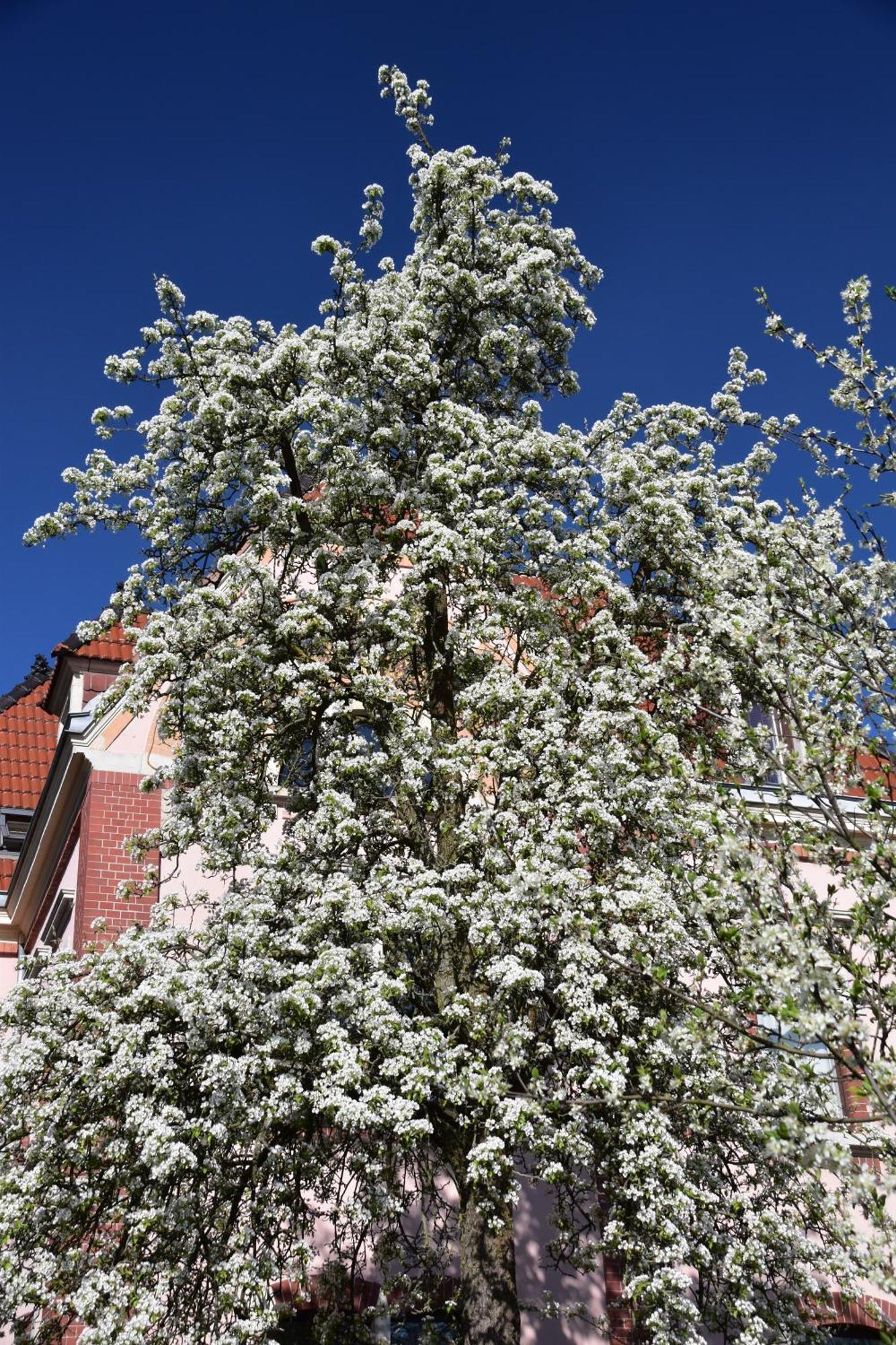 Ferienwohnung Und Pension "Zur Aue" Konigsbruck Exterior photo